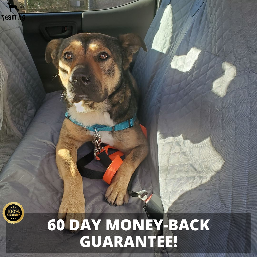 Car Seat Hammock Cover, Waterproof Non Slip Backseat Protector With Pockets, Free Safety Belt, Fall 2025 Travel