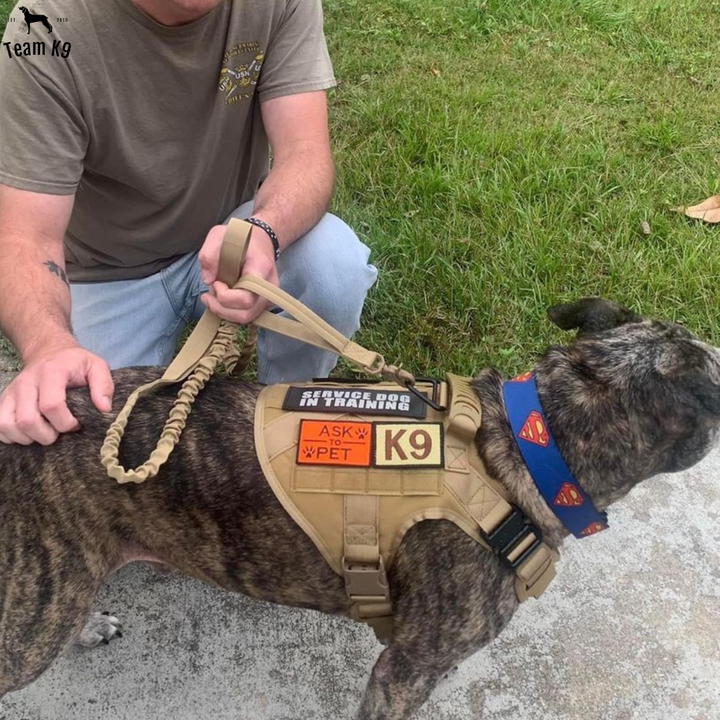 Tactical Dog Harness No-Pull With Front And Back D-Rings Quick-Release Buckles Top Handle Heavy-Duty Training