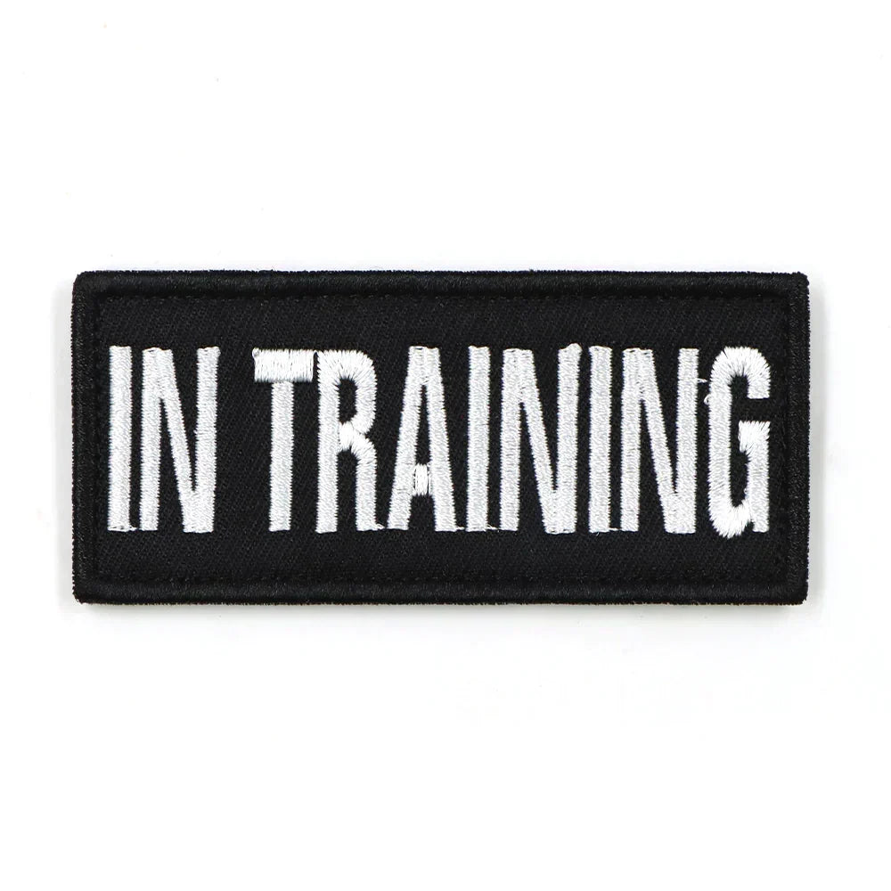 In Training Patch Black Hook And Loop Harness Patch Fall 2025 Trend Easy Attach For Walks And Training Status