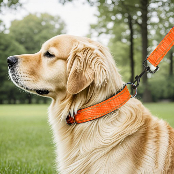 Reflective Dog Collar Quick-Lock Buckle - Safe Night Walks, Fall 2025 Gift Idea For Pets