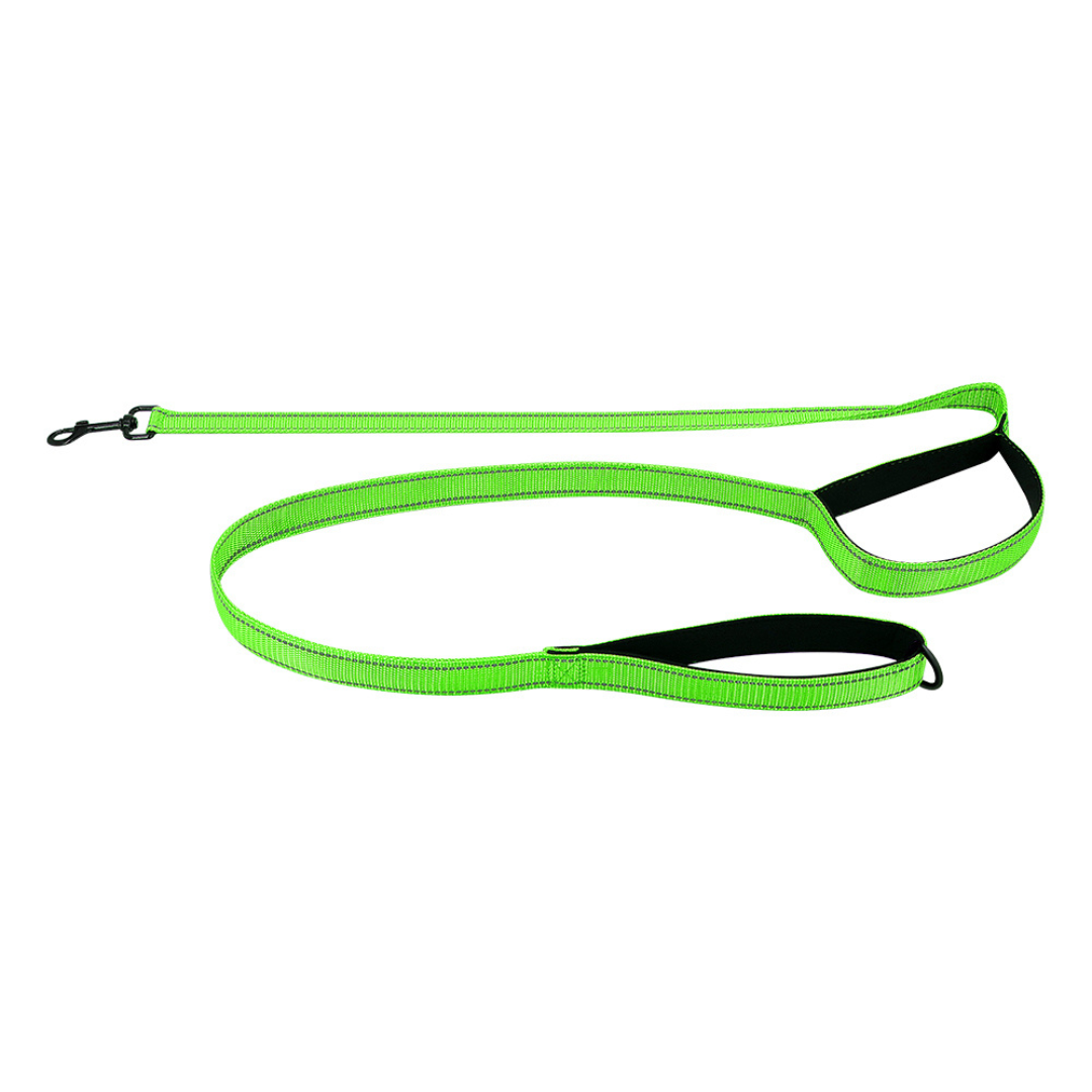 Reflective Dual-Handle Dog Leash – Traffic Handle, Nighttime Visibility, Fall 2025 Pet Safety