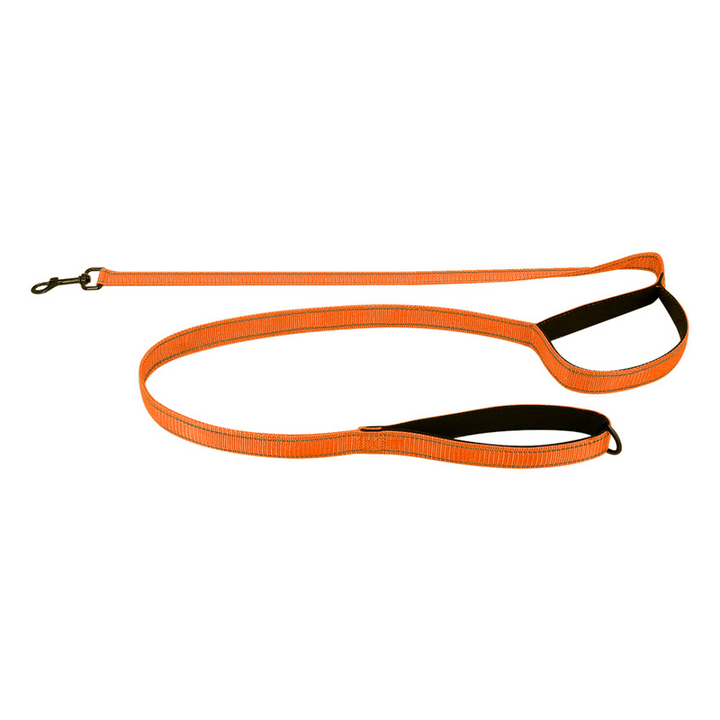 Reflective Dual-Handle Dog Leash – Traffic Handle, Nighttime Visibility, Fall 2025 Pet Safety