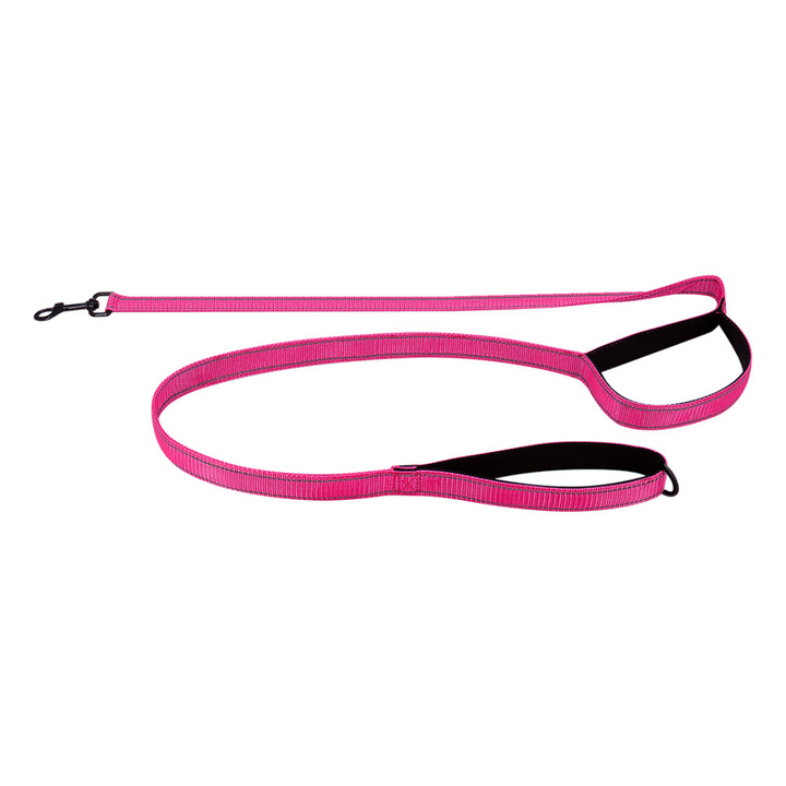 Reflective Dual-Handle Dog Leash – Traffic Handle, Nighttime Visibility, Fall 2025 Pet Safety