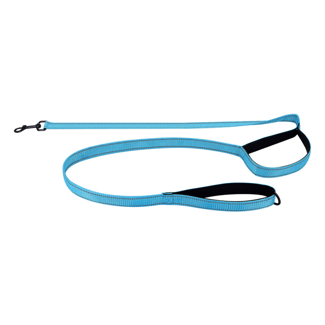 Reflective Dual-Handle Dog Leash – Traffic Handle, Nighttime Visibility, Fall 2025 Pet Safety