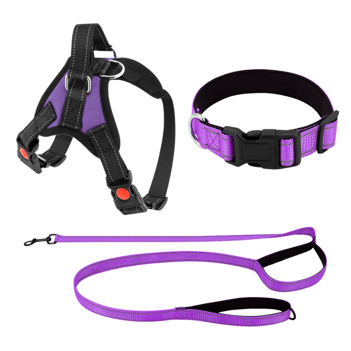 Dog Harness No-Choke Adjustable Safety Harness Fall 2025 Trend Breathable Padding For Gentle Control