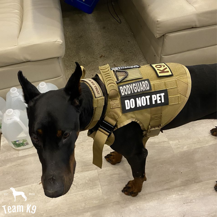 Tactical Dog Harness System All-In-One Training Bundle No-Pull Harness MOLLE Pouches Travel Water Bowl Holiday 2025