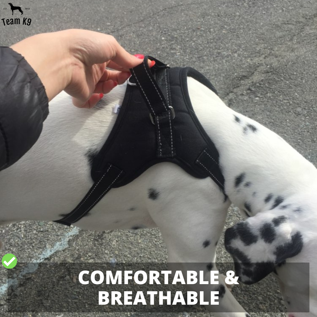 Dog Harness No-Choke Adjustable Safety Harness Fall 2025 Trend Breathable Padding For Gentle Control
