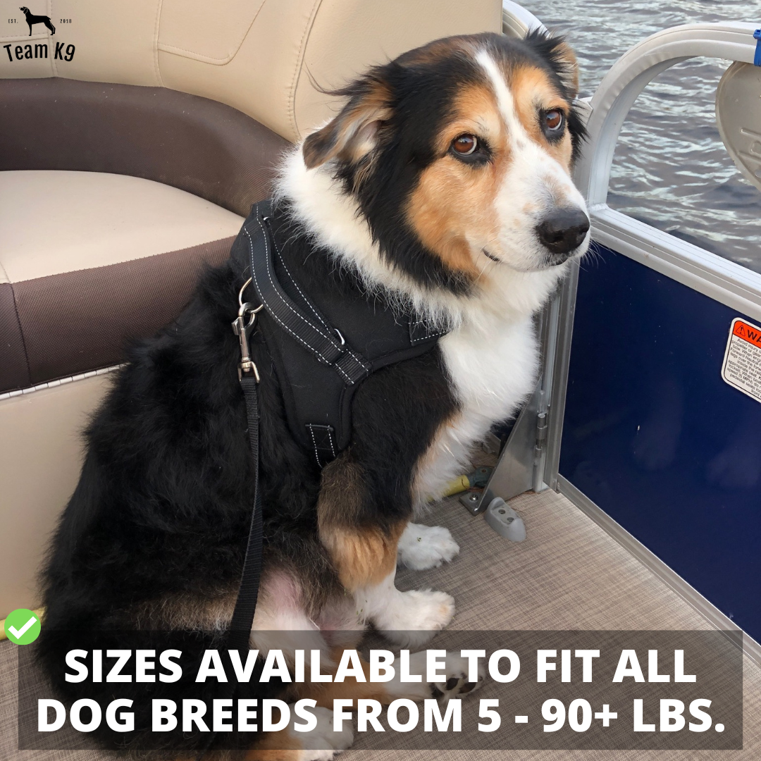 Dog Harness No-Choke Adjustable Safety Harness Fall 2025 Trend Breathable Padding For Gentle Control