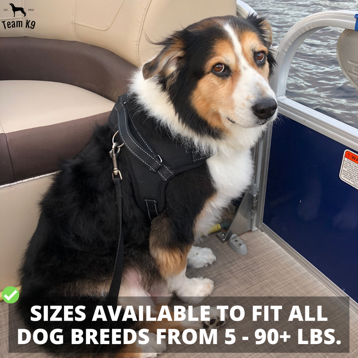 Dog Harness No-Choke Adjustable Safety Harness Fall 2025 Trend Breathable Padding For Gentle Control