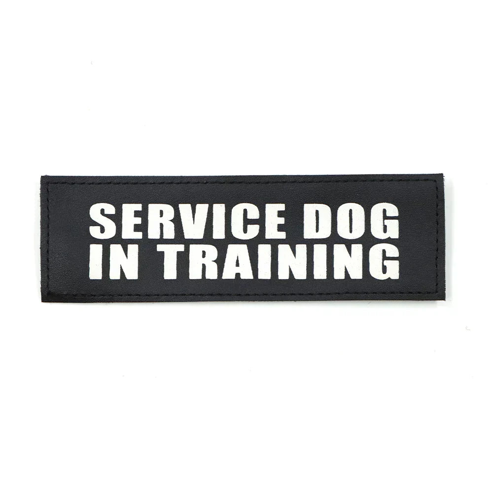 Service Dog Patch In Training Harness Patch With Hook And Loop Backing Fall 2025 Training Sign