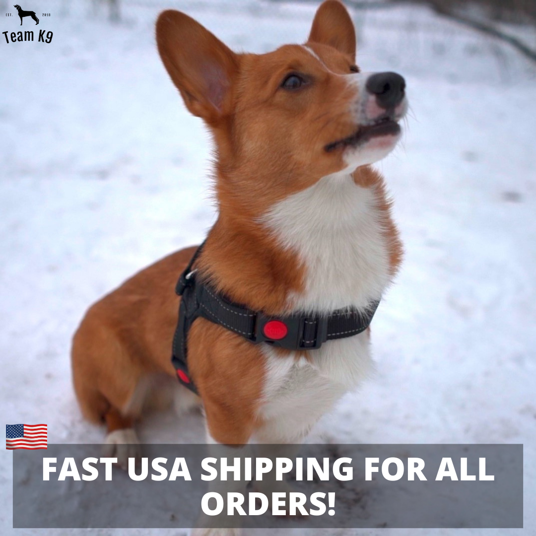Dog Harness No-Choke Adjustable Safety Harness Fall 2025 Trend Breathable Padding For Gentle Control
