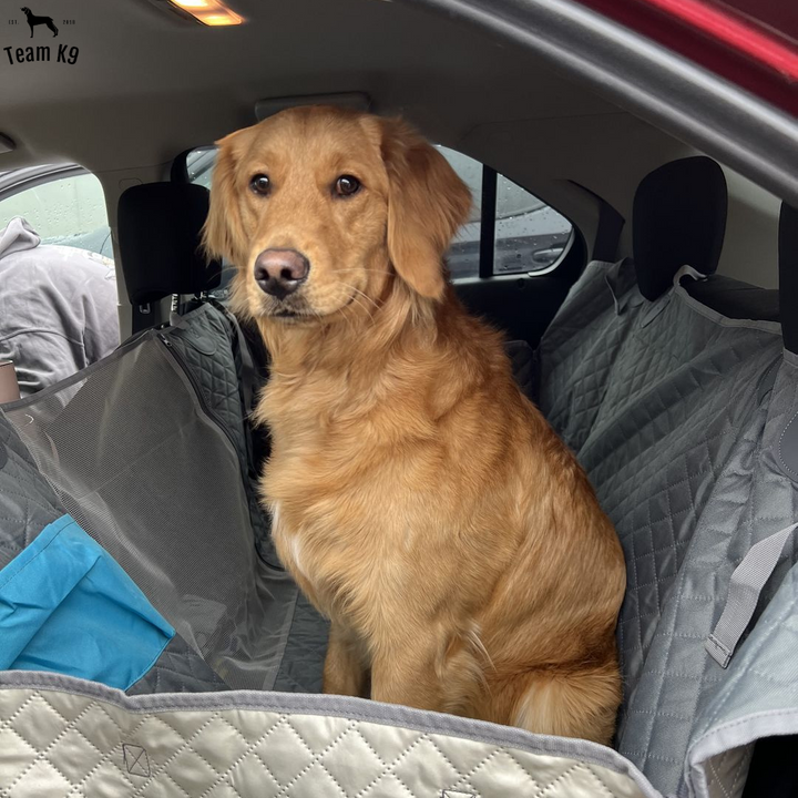 Car Seat Hammock Cover, Waterproof Non Slip Backseat Protector With Pockets, Free Safety Belt, Fall 2025 Travel