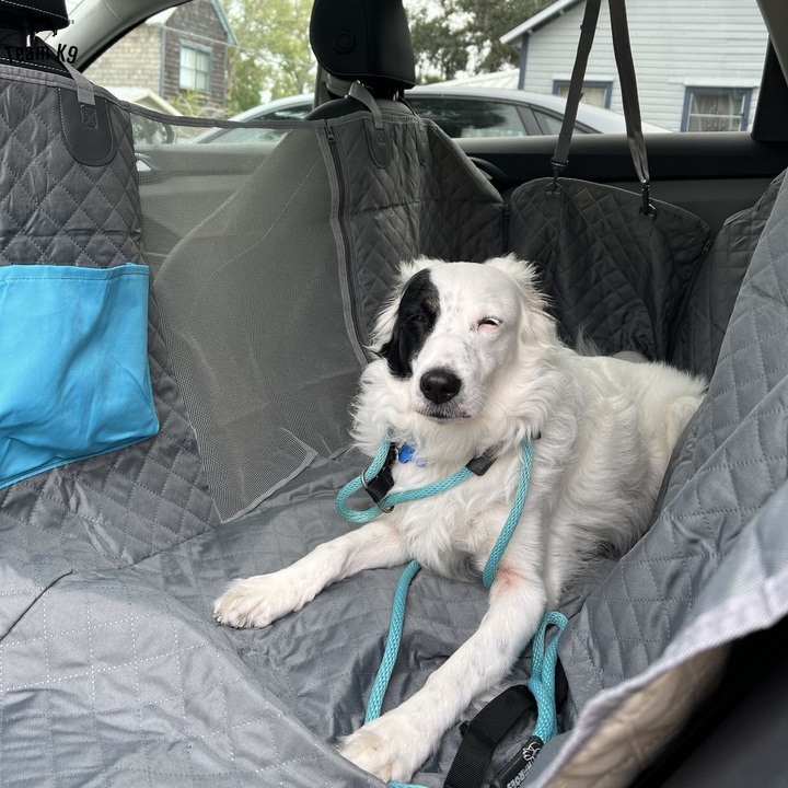Car Seat Hammock Cover, Waterproof Non Slip Backseat Protector With Pockets, Free Safety Belt, Fall 2025 Travel