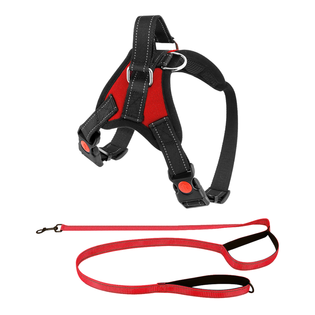Dog Harness No-Choke Adjustable Safety Harness Fall 2025 Trend Breathable Padding For Gentle Control