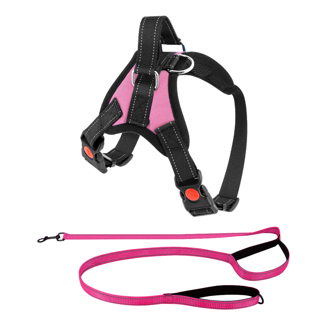 Dog Harness No-Choke Adjustable Safety Harness Fall 2025 Trend Breathable Padding For Gentle Control