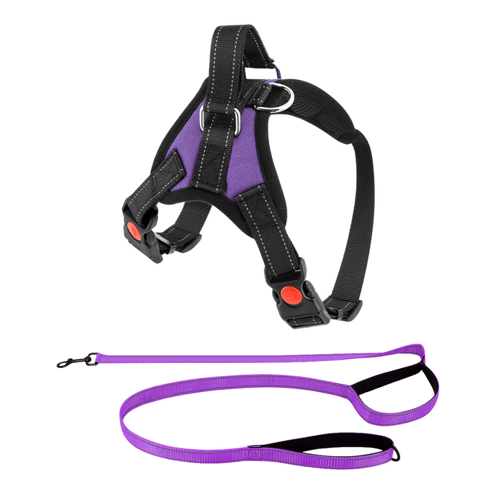 Dog Harness No-Choke Adjustable Safety Harness Fall 2025 Trend Breathable Padding For Gentle Control