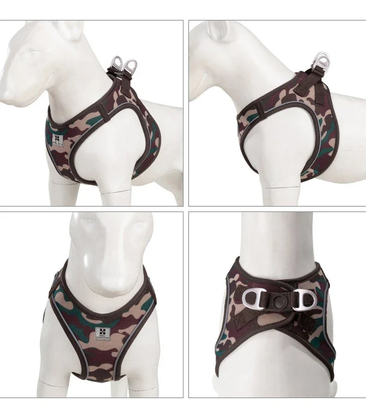 Dog Harness Leash Set Reflective Padded Vest All Seasons Outdoor Walking Gift Idea