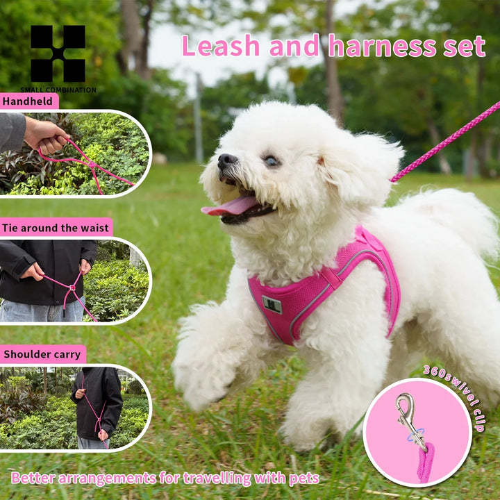 Dog Harness Leash Set Reflective Padded Vest All Seasons Outdoor Walking Gift Idea
