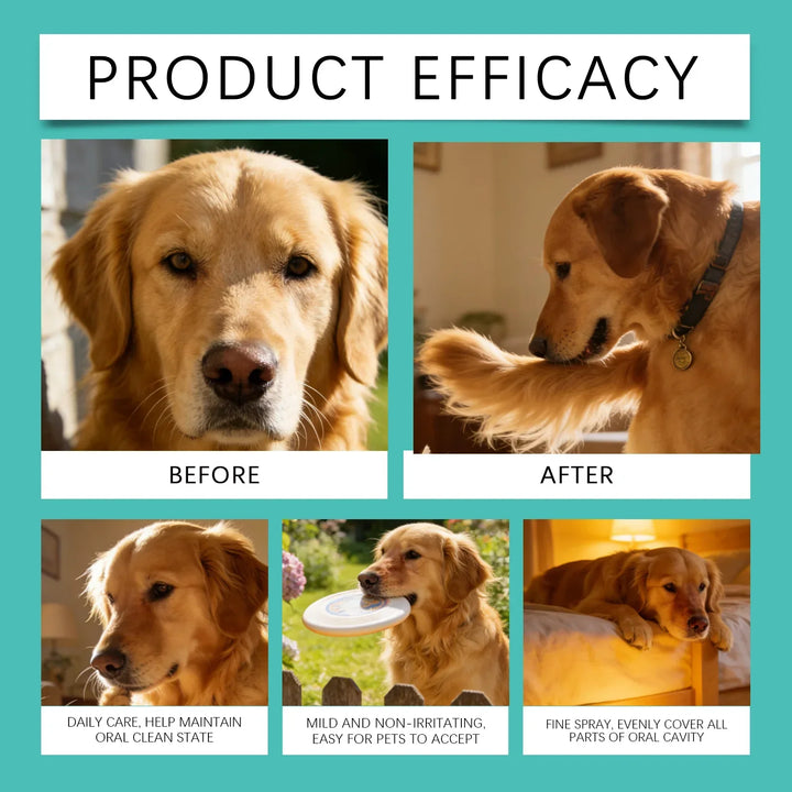 Pet Oral Care Spray 100ml – Natural Bad Breath Freshener Dog Cat Teeth Cleaning Plaque Reducer 2026