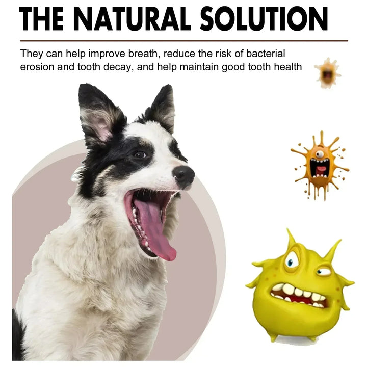 Pet Grooming Care Dental Spray for Dogs &amp; Cats - Bad Breath Freshener &amp; Oral Cleaning, 30ml