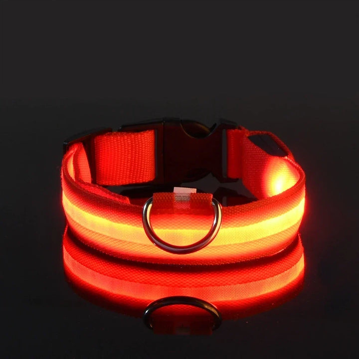 LED Dog Collar Glow In The Dark Night Safety Luminous Fall 2026 Trend Perfect Gift Idea