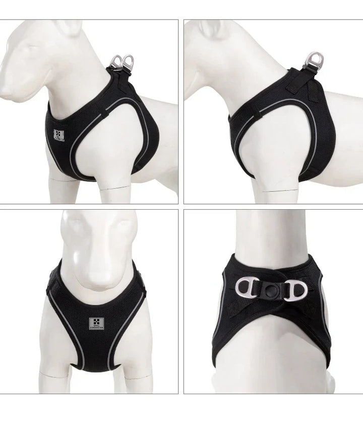 Dog Harness Leash Set Reflective Padded Vest All Seasons Outdoor Walking Gift Idea