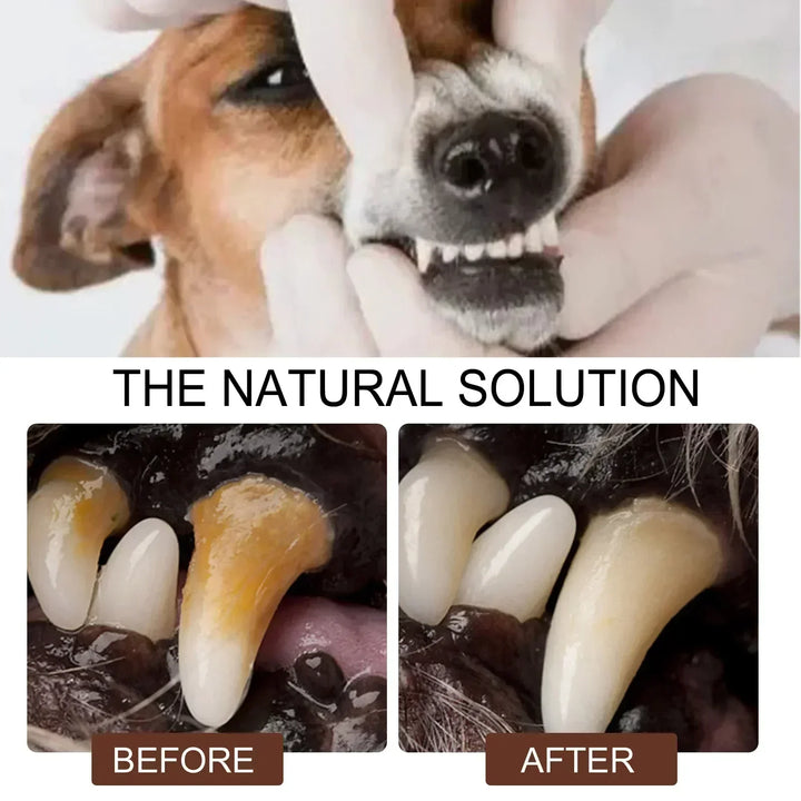 Pet Grooming Care Dental Spray for Dogs &amp; Cats - Bad Breath Freshener &amp; Oral Cleaning, 30ml