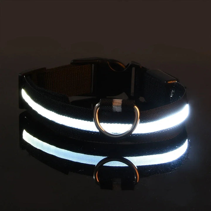 LED Dog Collar Glow In The Dark Night Safety Luminous Fall 2026 Trend Perfect Gift Idea