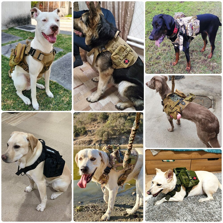 MOLLE Pouch Set For Harness Tactical Dog Gear Attachments Fall 2025 Outdoor Gift Idea
