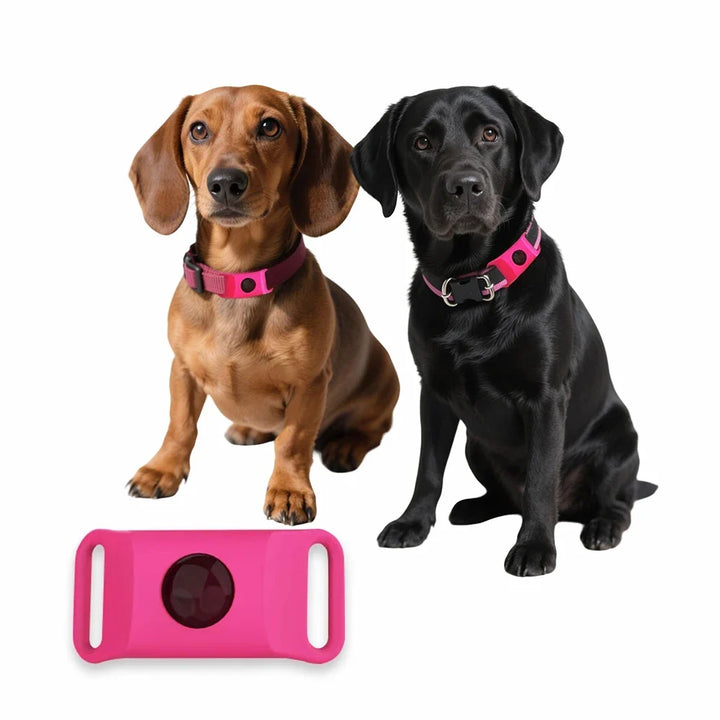 Natural Extract Pet Flea &amp; Tick Repellent Collar Tag Dogs Cats All Seasons Safe Wearable