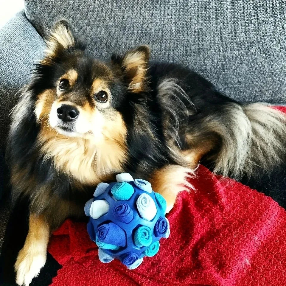 Dog Snuffle Ball Toy – Bite Resistant Rubber Interactive Nose Work Foraging Enrichment Toy for Dogs 2026