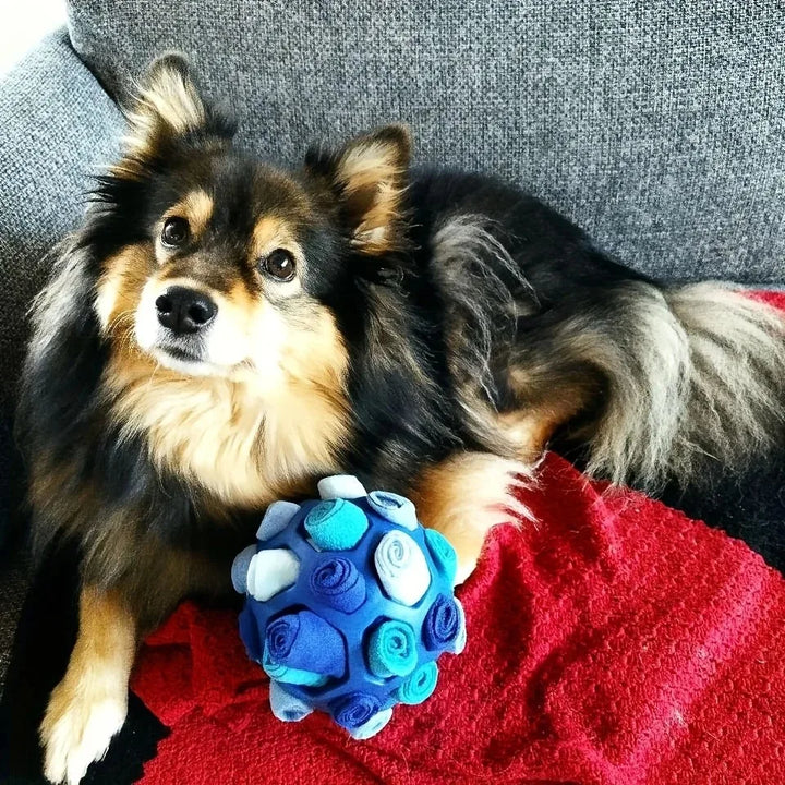 Dog Snuffle Ball Toy – Bite Resistant Rubber Interactive Nose Work Foraging Enrichment Toy for Dogs 2026