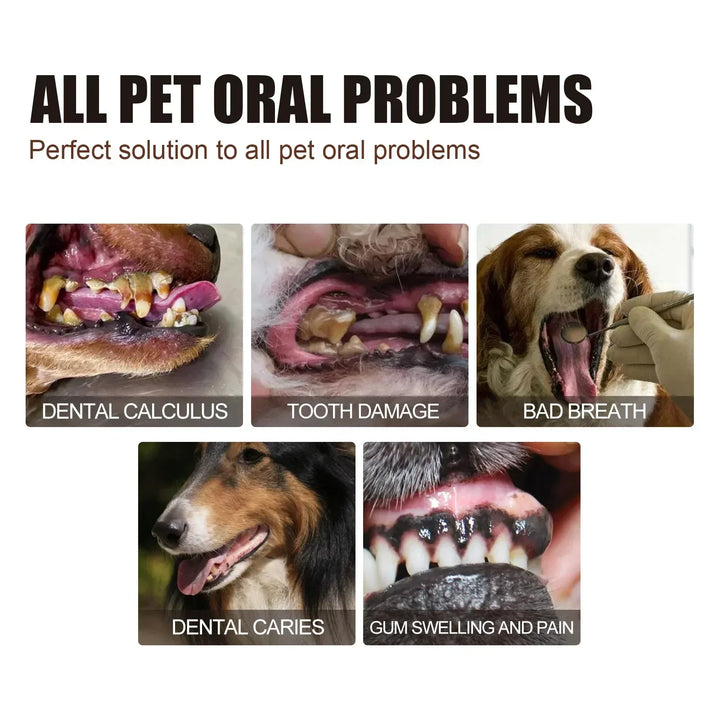 Pet Grooming Care Dental Spray for Dogs &amp; Cats - Bad Breath Freshener &amp; Oral Cleaning, 30ml