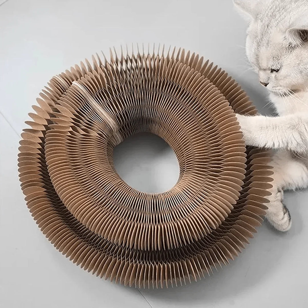 Foldable cardboard cat scratcher with catnip and bell – multi-level kitten claw toy 2026