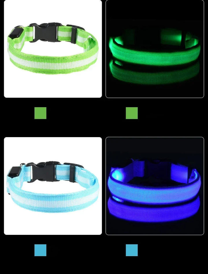 LED Dog Collar Glow In The Dark Night Safety Luminous Fall 2026 Trend Perfect Gift Idea