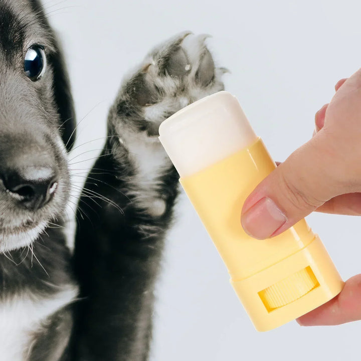 Pet Paw Balm for Dogs &amp; Cats - 15g Moisturizer for Cracked Paws &amp; Nose, Winter Care Cream