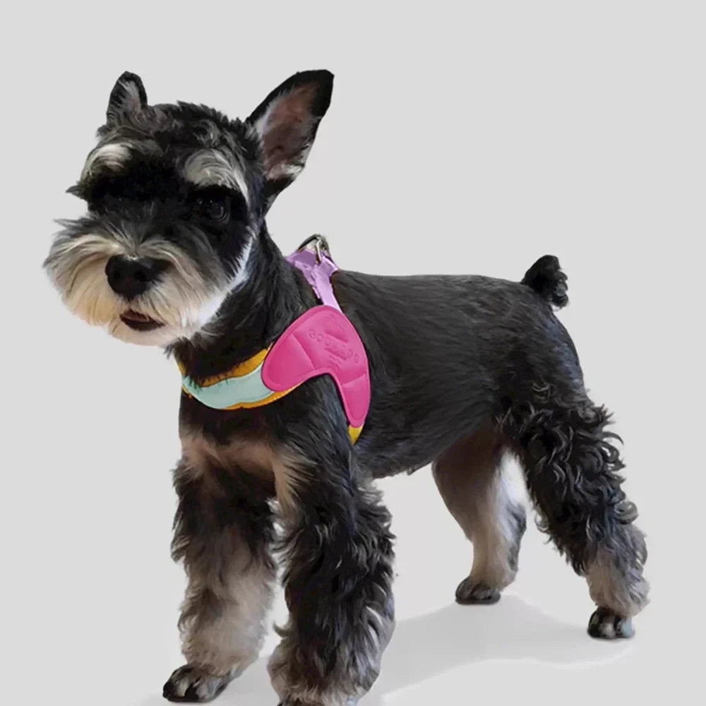 Dog Harness Y Shaped Adjustable Chest Straps Polyester Blends Summer 2026 Outdoor Use Easy Fit
