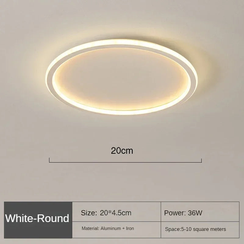 LED Ceiling Light Nordic Minimalist Circular with Remote Control Energy Efficient Home Decor TikTok Viral Fall 2026