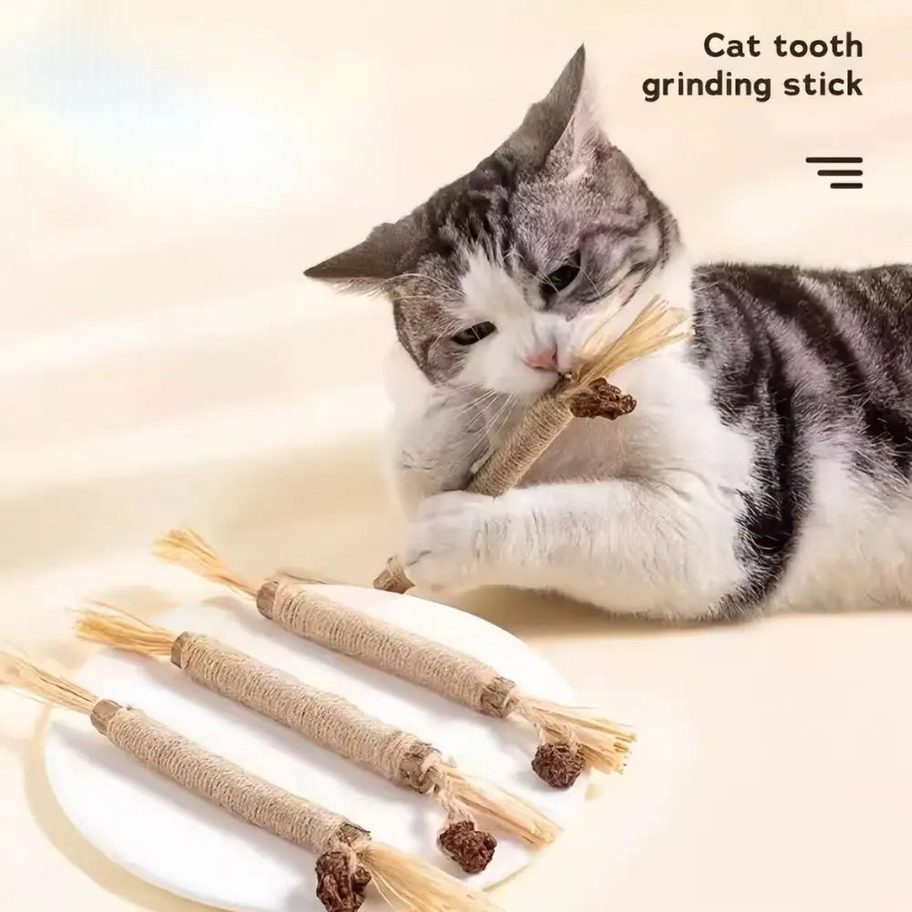 Natural Silver Vine Cat Dental Chew Rod - Bite-Resistant Matatabi Teeth Cleaning Toy