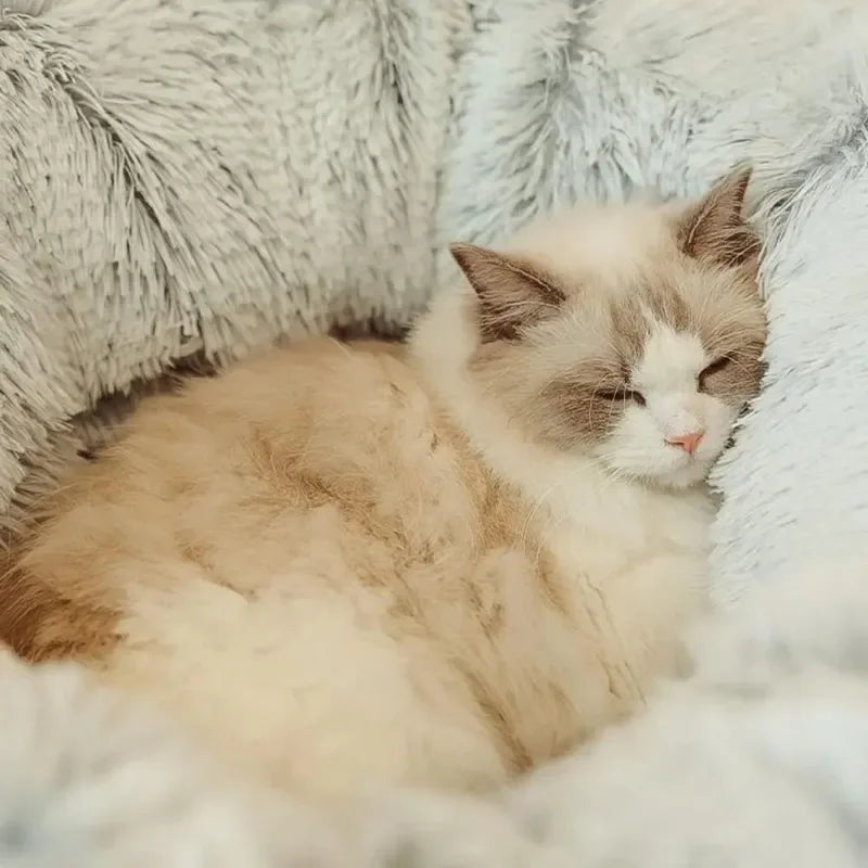Plush Cat Bed with Tunnel - Fluffy Donut Cat Bed for Indoor Cats, Cozy Multifunctional Tunnel with Peephole