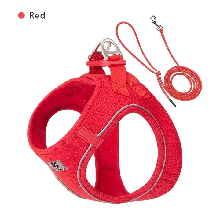 Dog Harness Leash Set Reflective Padded Vest All Seasons Outdoor Walking Gift Idea