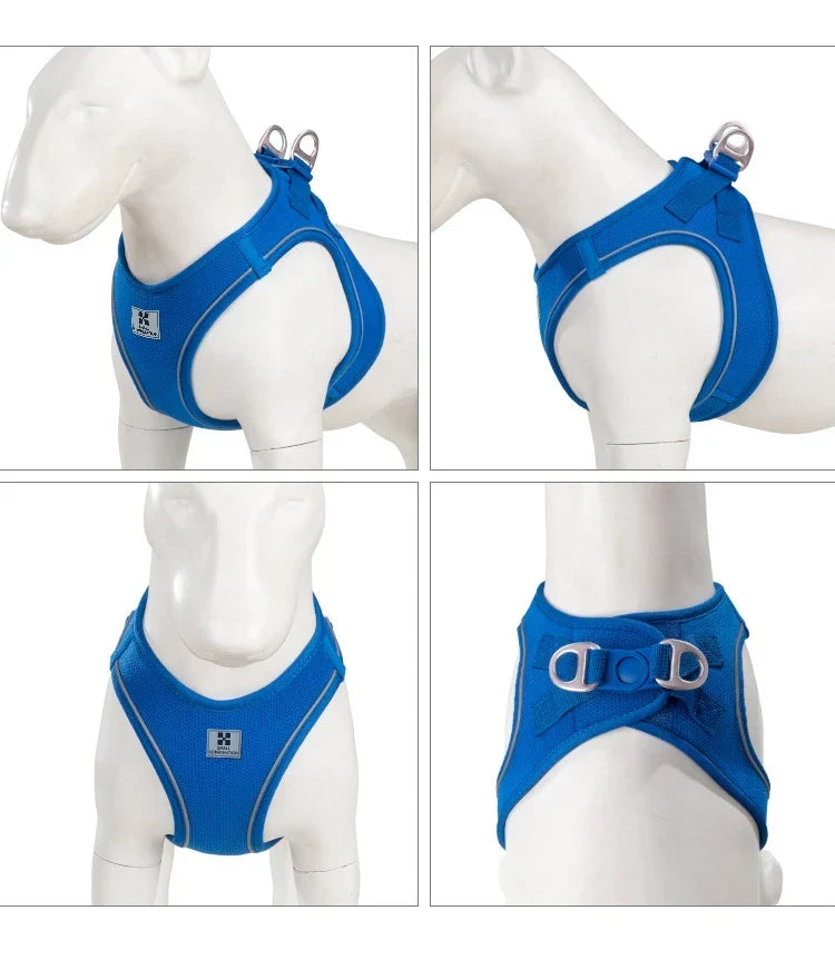 Dog Harness Leash Set Reflective Padded Vest All Seasons Outdoor Walking Gift Idea