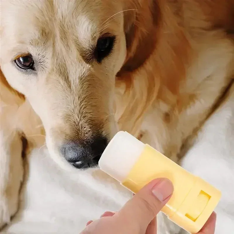 Pet Paw Balm for Dogs &amp; Cats - 15g Moisturizer for Cracked Paws &amp; Nose, Winter Care Cream