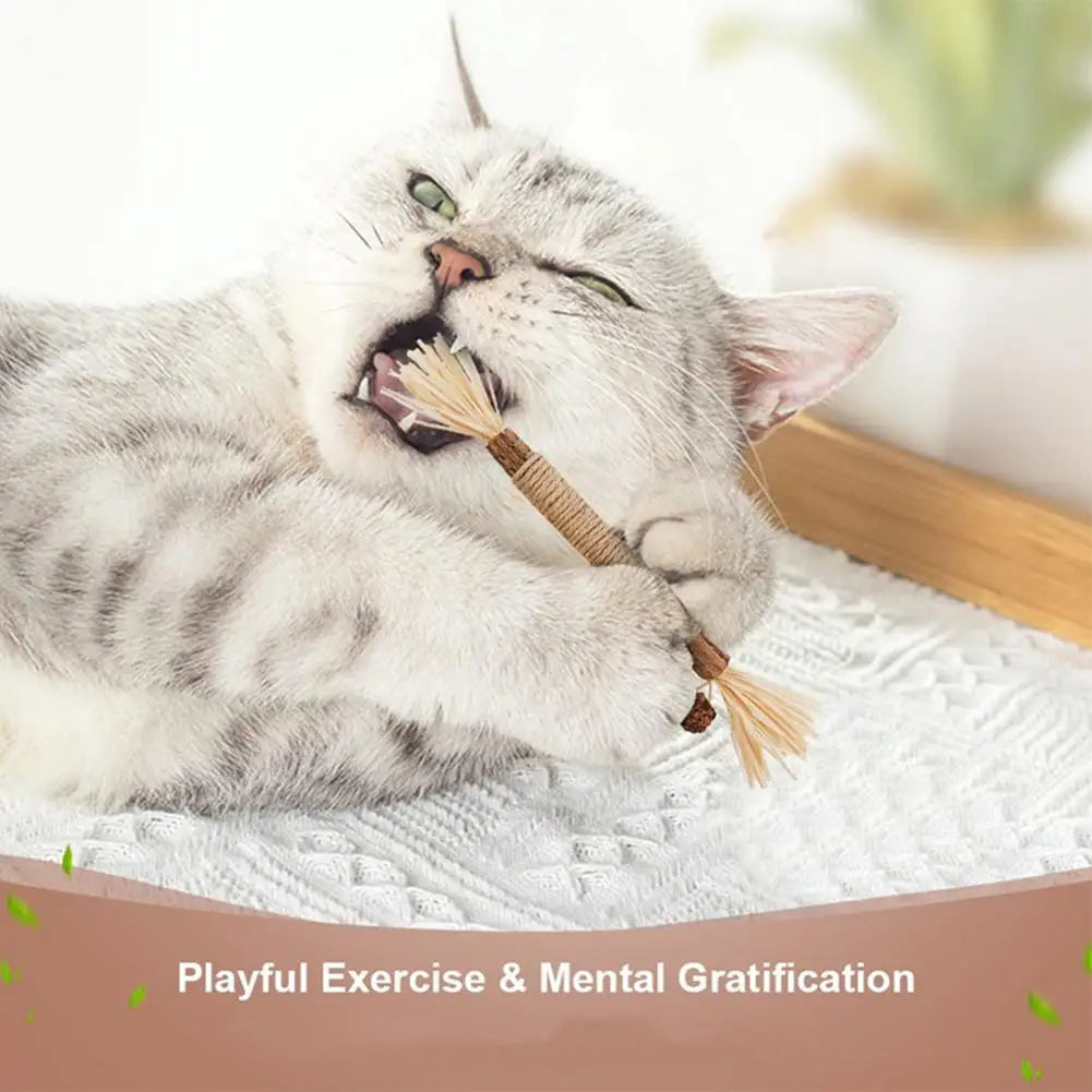 Natural Silver Vine Cat Dental Chew Rod - Bite-Resistant Matatabi Teeth Cleaning Toy