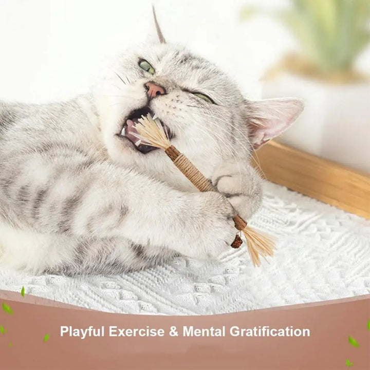 Natural Silver Vine Cat Dental Chew Rod - Bite-Resistant Matatabi Teeth Cleaning Toy
