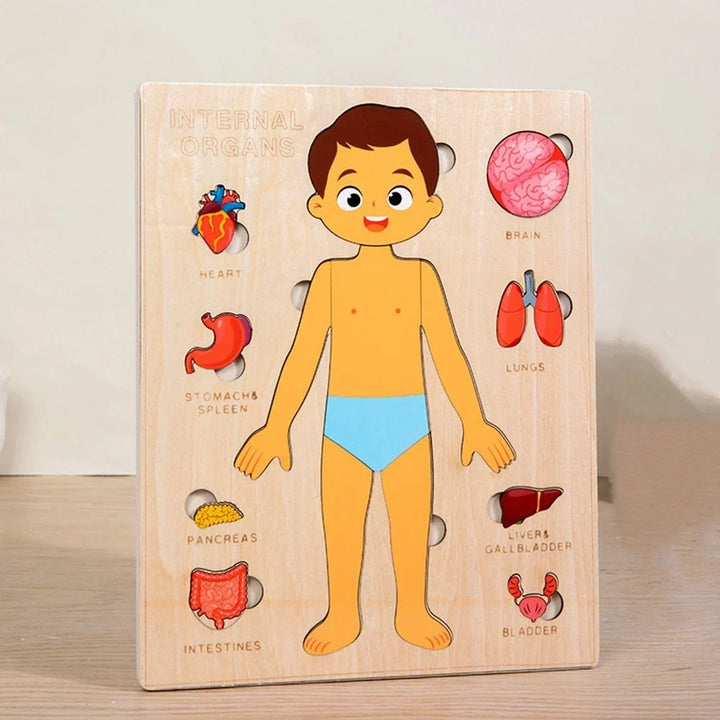 Montessori Human Anatomy Jigsaw Puzzle for Kids, 10 Pieces Educational Toy, Interactive Learning Tool, Non-Toxic Wood, 12 x 9 Inches
