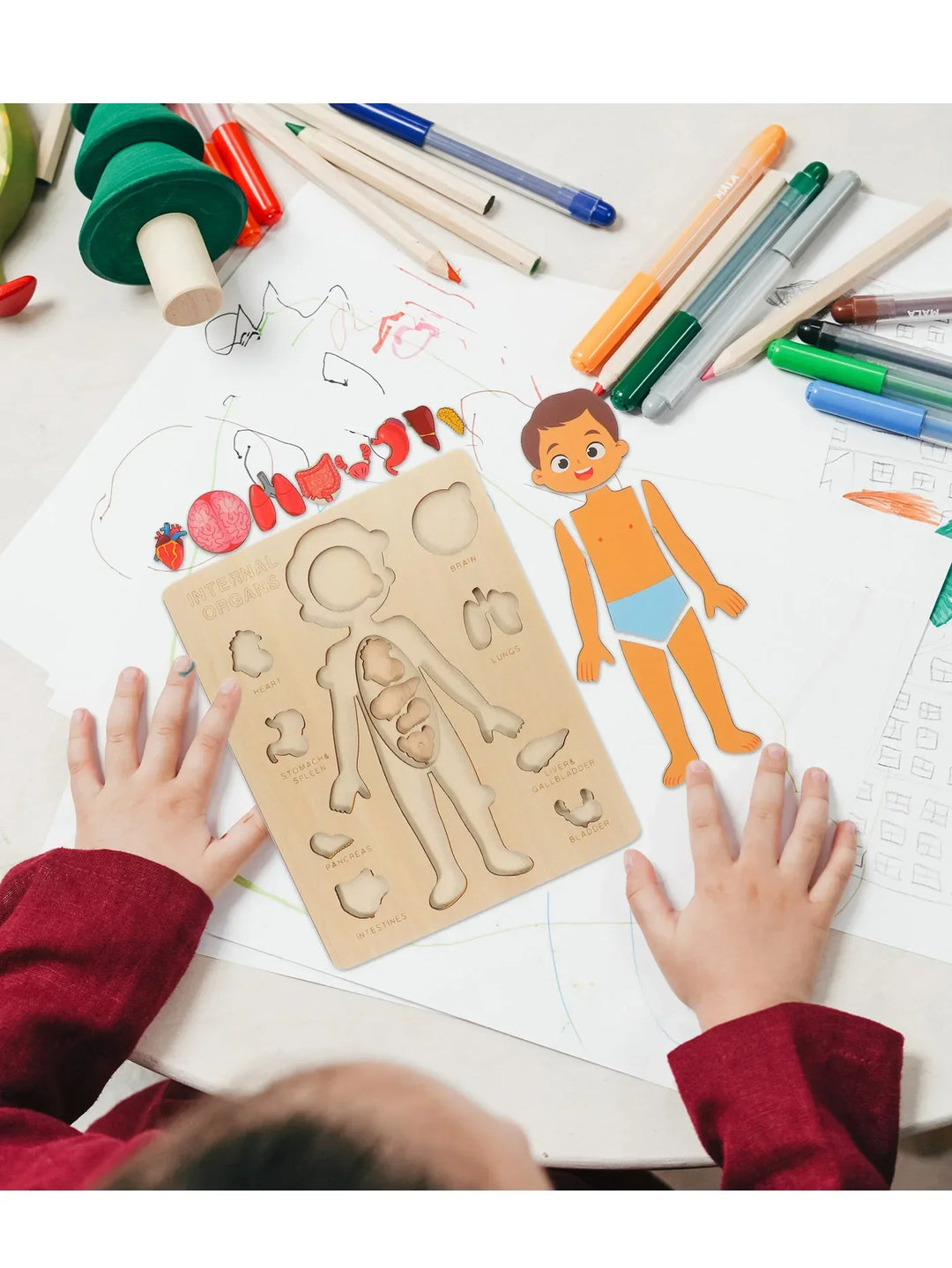 Montessori Human Anatomy Jigsaw Puzzle for Kids, 10 Pieces Educational Toy, Interactive Learning Tool, Non-Toxic Wood, 12 x 9 Inches