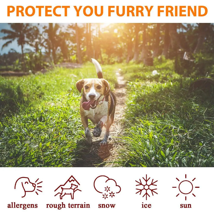 Pet Paw Balm for Dogs &amp; Cats - Moisturizing Foot Care Cream, Protective Oil for Winter Paw Health