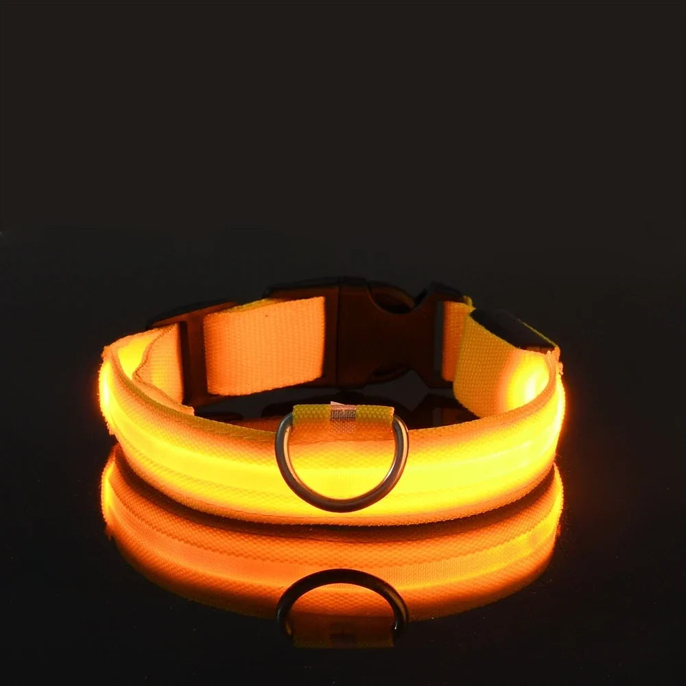 LED Dog Collar Glow In The Dark Night Safety Luminous Fall 2026 Trend Perfect Gift Idea