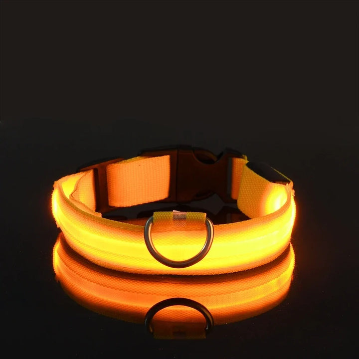 LED Dog Collar Glow In The Dark Night Safety Luminous Fall 2026 Trend Perfect Gift Idea